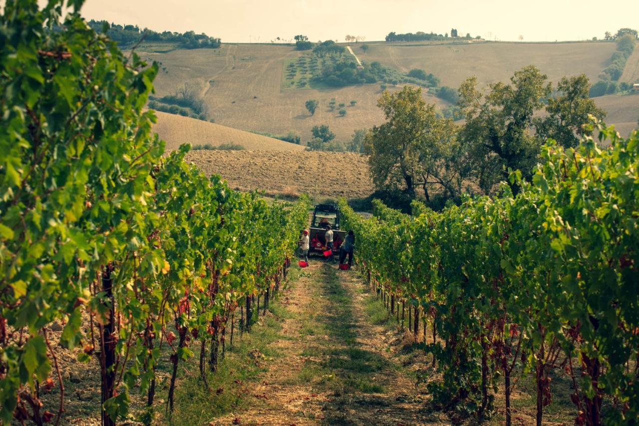 Filodivino Wine Resort & Spa サン・マルチェッロ エクステリア 写真